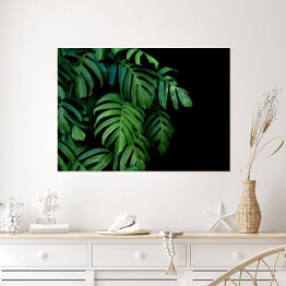 Plakat samoprzylepny Dzikie palmowe liście