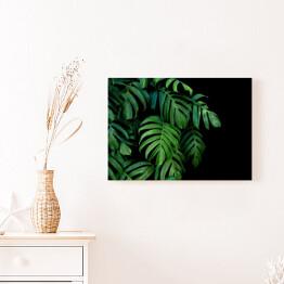 Obraz na płótnie Dzikie palmowe liście