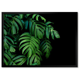Obraz klasyczny Dzikie palmowe liście