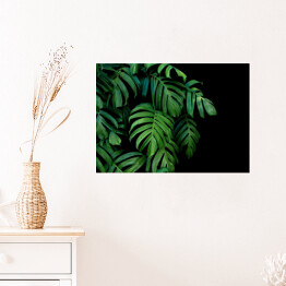 Plakat Dzikie palmowe liście