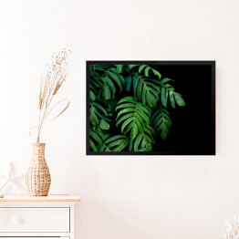 Obraz w ramie Dzikie palmowe liście