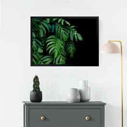 Obraz w ramie Dzikie palmowe liście