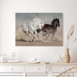 Obraz na płótnie Białe i czarne konie galopujące w kurzu