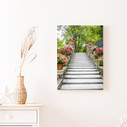 Obraz na płótnie Piękne kamienne schodki z kwiatami w garnkach 