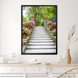 Obraz w ramie Piękne kamienne schodki z kwiatami w garnkach 