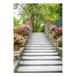 Plakat samoprzylepny Piękne kamienne schodki z kwiatami w garnkach 