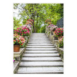 Plakat Piękne kamienne schodki z kwiatami w garnkach 