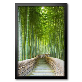 Obraz w ramie Bambusowy gaj w Arashiyama