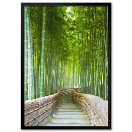 Plakat w ramie Bambusowy gaj w Arashiyama