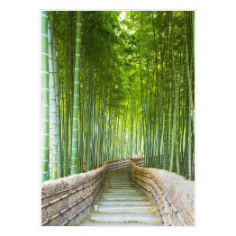 Plakat Bambusowy gaj w Arashiyama