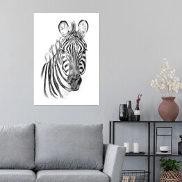 Plakat samoprzylepny Portret zebry na białym tle