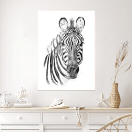 Plakat Portret zebry na białym tle