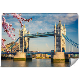 Fototapeta Basztowy Most w Londynie wiosną 