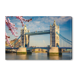 Basztowy Most w Londynie wiosną 