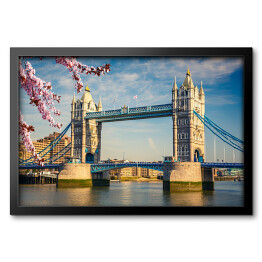Obraz w ramie Basztowy Most w Londynie wiosną 