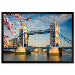 Plakat w ramie Basztowy Most w Londynie wiosną 