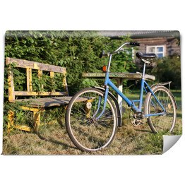Niebieski rower na wsi