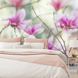 Kwiat magnolii wśród liści