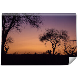 Fototapeta samoprzylepna Purpurowy zmierzch, Południowa Afryka