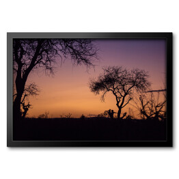 Obraz w ramie Purpurowy zmierzch, Południowa Afryka