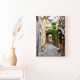 Obraz na płótnie Piękna stara kamienna ulica obrośnięta bluszczem we Francji