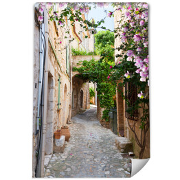 Fototapeta Piękna stara kamienna ulica obrośnięta bluszczem we Francji