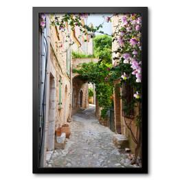 Obraz w ramie Piękna stara kamienna ulica obrośnięta bluszczem we Francji