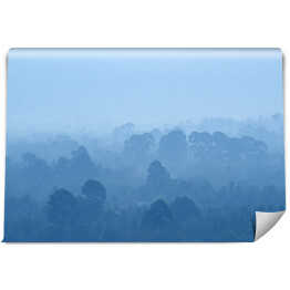 Fototapeta winylowa zmywalna Tropikalny las deszczowy we mgle w odcieniach koloru niebieskiego