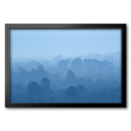Obraz w ramie Tropikalny las deszczowy we mgle w odcieniach koloru niebieskiego