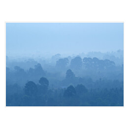 Plakat samoprzylepny Tropikalny las deszczowy we mgle w odcieniach koloru niebieskiego