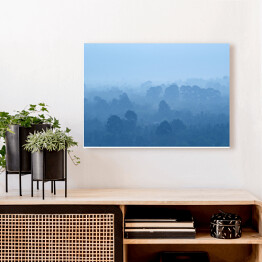 Obraz na płótnie Tropikalny las deszczowy we mgle w odcieniach koloru niebieskiego