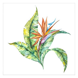 Plakat samoprzylepny Tropikalna roślinność - akwarela