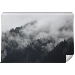 Fototapeta samoprzylepna Gęsta mgła nad lasem w górach