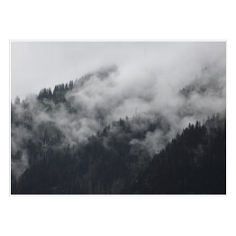 Plakat samoprzylepny Gęsta mgła nad lasem w górach