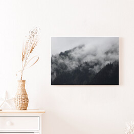 Obraz na płótnie Gęsta mgła nad lasem w górach