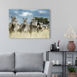 Obraz na płótnie Zebry z baobabem w tle