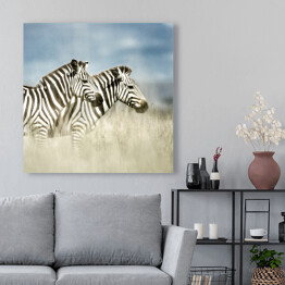 Obraz na płótnie Widok boczny - dwie zebry w sawannie, Afryka