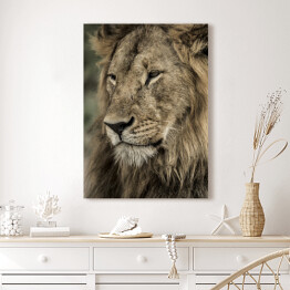 Obraz na płótnie Widok boczny - głowa lwa