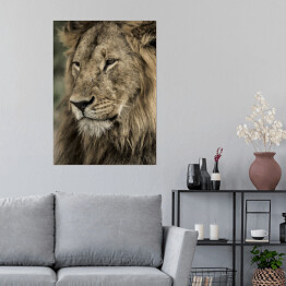 Plakat Widok boczny - głowa lwa