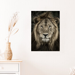 Plakat samoprzylepny Głowa lwa na ciemnym tle