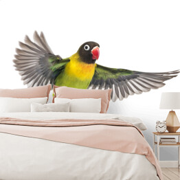 Fototapeta Zielono żółty latający ptak