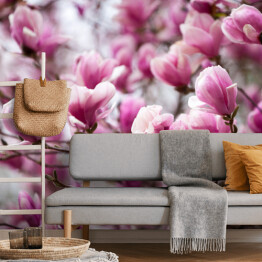 Fototapeta Kwiaty magnolii