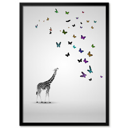 Plakat w ramie Mała żyrafa patrząca na motyle