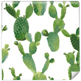 Kaktusy na białym tle