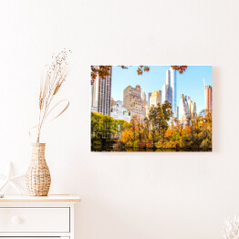 Panorama Nowego Jorku od strony Central Parku
