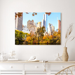 Obraz na płótnie Panorama Nowego Jorku od strony Central Parku