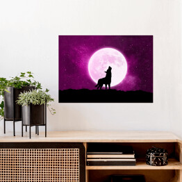 Plakat Wilk wyjący do księżyca - ilustracja w fioletowych barwach