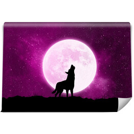 Wilk wyjący do księżyca - ilustracja w fioletowych barwach