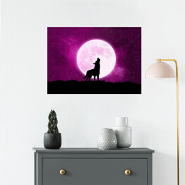 Plakat Wilk wyjący do księżyca - ilustracja w fioletowych barwach