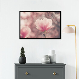 Plakat w ramie Różowa magnolia w przygaszonych barwach